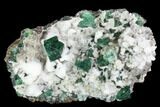Fluorite & Calcite Crystal Cluster - Rogerley Mine #99459-2